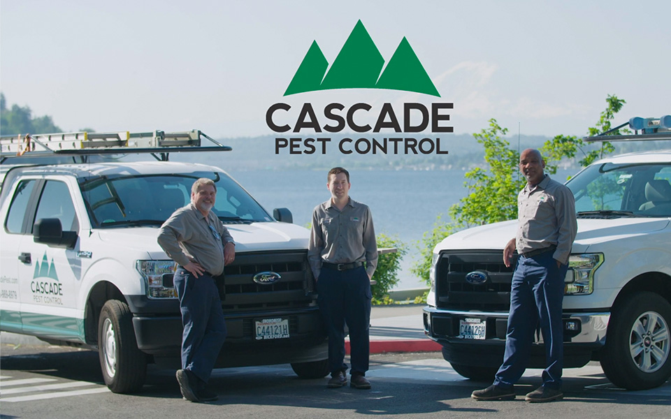 Cascade Pest Control video production