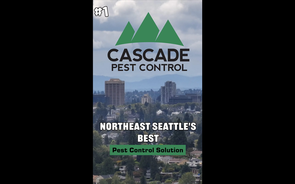 Cascade Pest Control social content